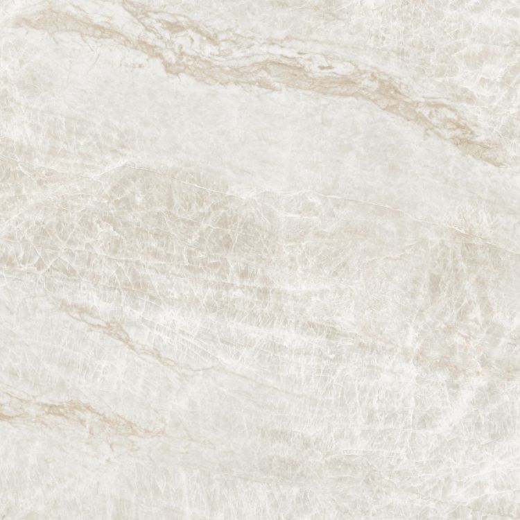 Kraken Polished 48 x 48
